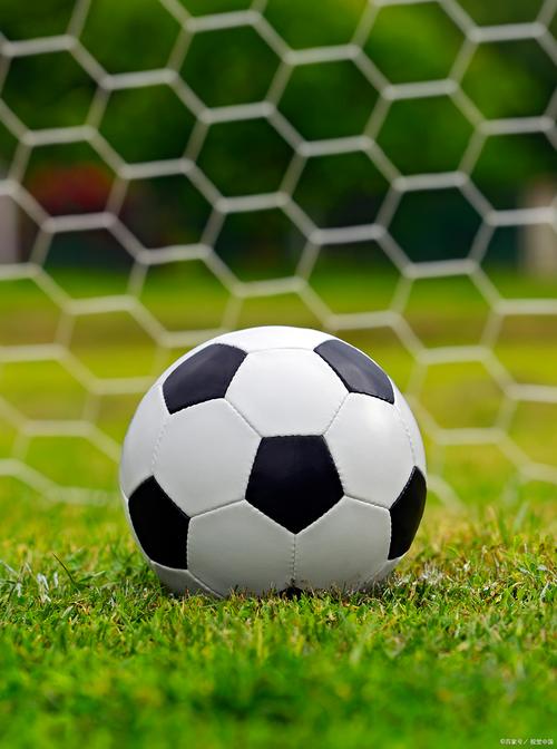 Multiple Chinese departments warn citizens about travel and study in Japan amid security concerns